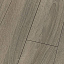 Ламинат Falquon Blue Line Wood 8mm D4186 SONOMA OAK  | FLOORDEALER